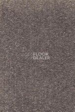 Ковролин AW Promenade 39 фото 1 | FLOORDEALER